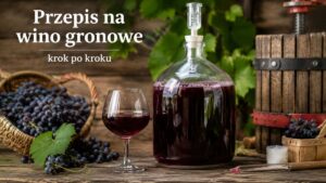 Read more about the article Przepis na wino gronowe – krok po kroku