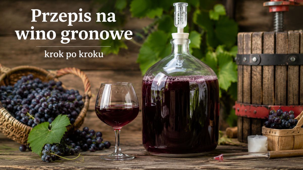 Przepis na wino gronowe – krok po kroku